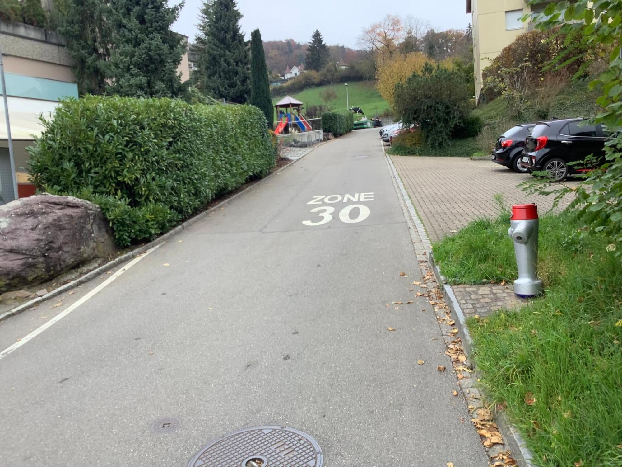 Chambre Spacieuse Et Confortable Avec Ecran Plat Oetwil an Der Limmat Bagian luar foto